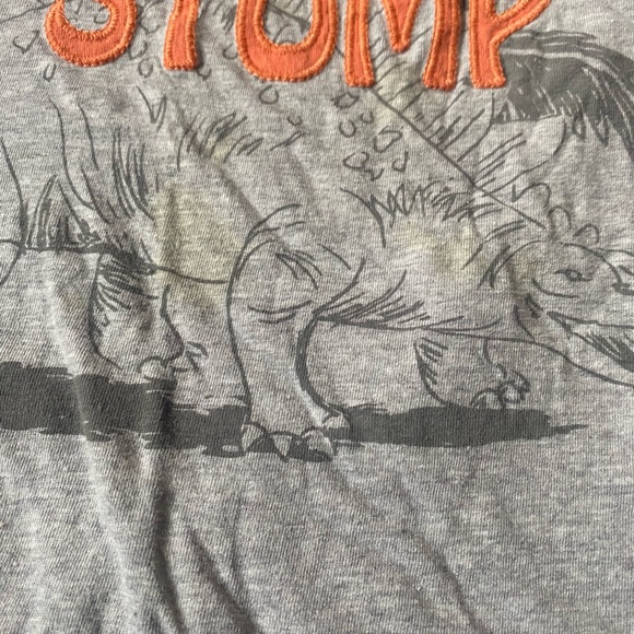 Boy’s Size 6, Gymboree Lot of 13 Items- 4 Shorts, 3 Pants, 6 Tops - Picture 11 of 15